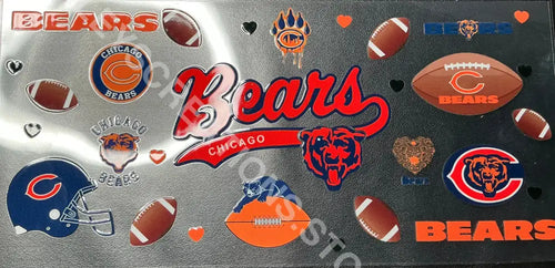 #119 BEARS