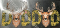 #138 DAD BUCK