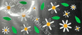 #154 DAISYS
