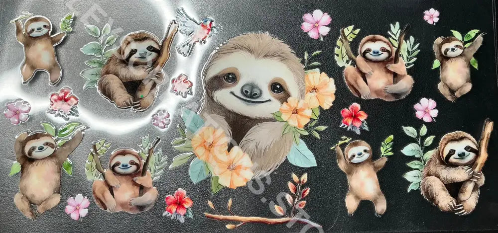 #223 SLOTH